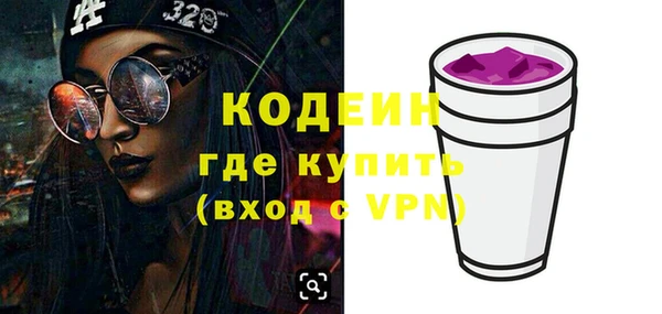 шишки Белокуриха