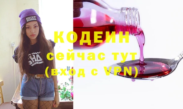 шишки Белокуриха