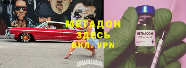 шишки Белокуриха
