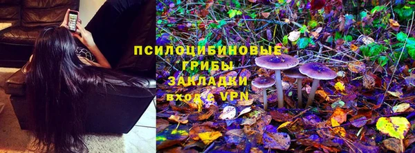 шишки Белокуриха