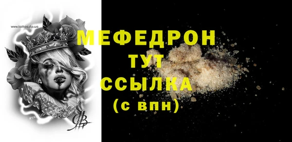 твердый Протвино