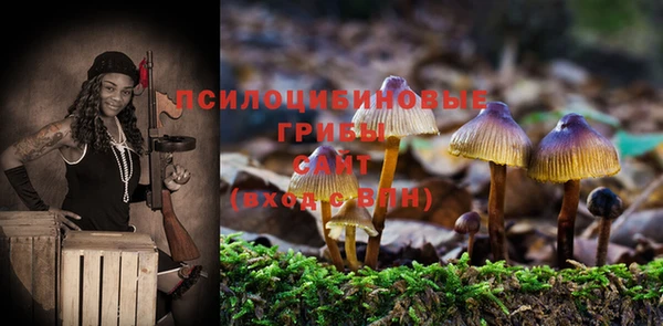 шишки Белокуриха