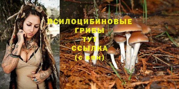 синтетический гашиш Беломорск