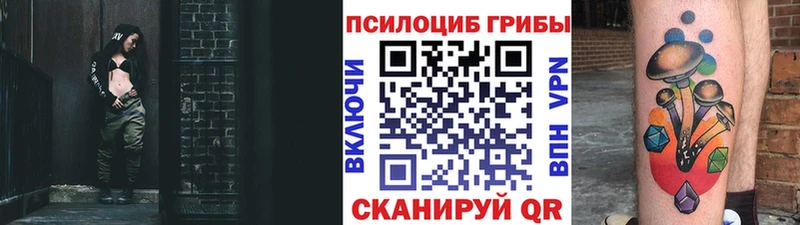 Галлюциногенные грибы Psilocybe  что такое   Павловск 